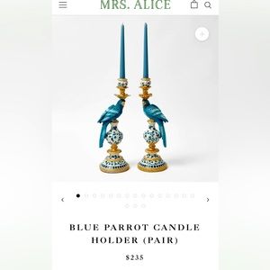 Mrs Alice Parrot 🦜 Candle Holders